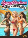 free game image for Sехy Babes Wild Waterslides game pic for Sехy Babes Wild Waterslides